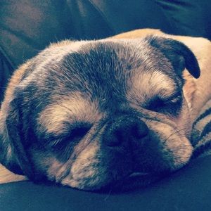 Meet your Posher, Jo